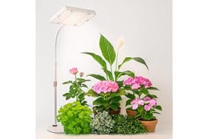 ‎GROCRUISER GroCruiser EU-Eurostecker Pflanzenlampe Schreibtisch LED Vollspektrum, 2000 Lumen UV-IR Vollspektrum Pflanzenlicht für Zimmerpflanzen, Wachstumslampe für Pflanzen, Daisy Chain Funktion