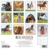 Image de Just Horses 2017 Calendar