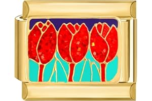 papasgix Italian Charms Module für 9mm Italian Charm Bracelet Gold DIY Italian Style Charms für Damen Abnehmbar Italienisches Charm Armband Zubehör Mädchen Junge Geschenk