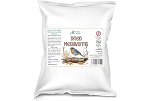 HUNGRY WINGS Premium Dried Mealworms Wild Bird Food, 5L Refill