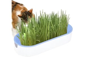 Youding Cat Grass Growing Kit, Planter Tray, Catnip Box, Chewing Kitten Plant Set for Snacks, Soil Free Snacks Digestion,Pet Food Indoor Nursery Balcony Patio Blue