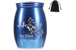 QESSUVNC Urnas pequeñas para cenizas humanas, urna o cenizas, recuerdo de cenizas, urnas de cremación impermeables para cenizas, soporte de cenizas conmemorativas funerarias de acero inoxidable