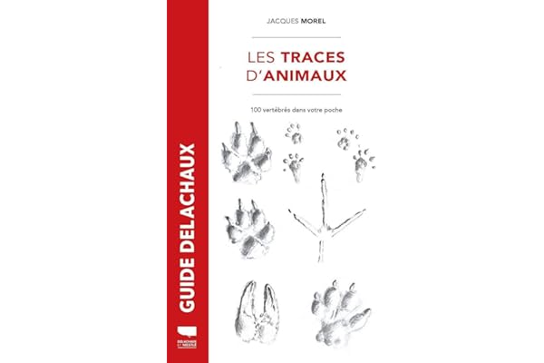 Traces d'animaux: 100 vertébrés dans votre poche