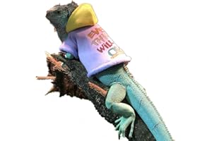 HAICHEN TEC Lizard Clothes for Bearded Dragons Reptile Apparel Handmade Cotton Material Hoodies Sweater for Skin Protection Photo Party for Crested Gecko Chameleon