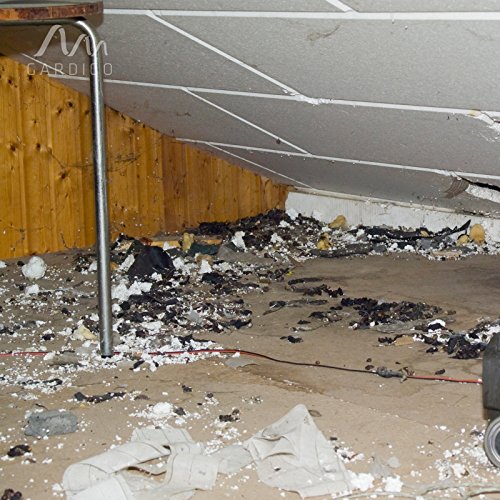 Gardigo Répulsif Ultrason pour voiture, garage, maison | Repeller pour automobile anti-martres, fouines, renards, ratons laveurs et rongeurs | Repeller pour véhicule repousse les animaux nuisibles