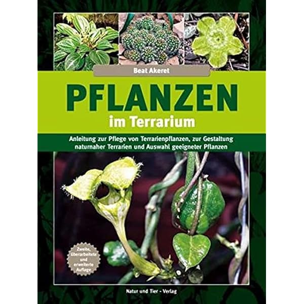 Bromelien, Orchideen und Farne im Tropenterrarium (Terrarien-Bibliothek) :  Schwarz, Benjamin, Schwarz, Wolfgang: Amazon.de: Bcher