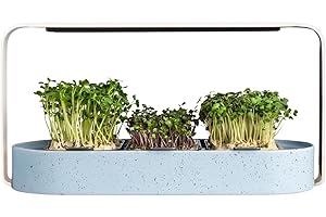 ingarden Microgreens Growing Kit – Bio-Superfood-Samenpads (3) | Automatisches 4-stufiges LED-Wachstumslicht und Hydrokultur-Bewässerungssystem | Upcycling-Meeresplastikschale [Ocean Blue]