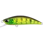 Duo Spearhead Ryuki 50F AJA3055 Chart Gill Halo Suni Yem