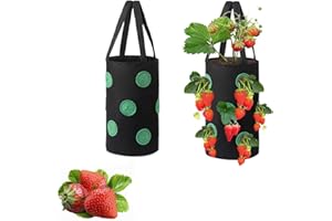 Yhuasia 2 Pièces Fraises Sac Culture Respirant, Sac Plantation Jardin, Conteneurs Culture de Légumes, 12 Trous Non Tissé Plante Panier Suspendu pour Les Fraises, Les Herbes, Les Légumes et Les Fleurs