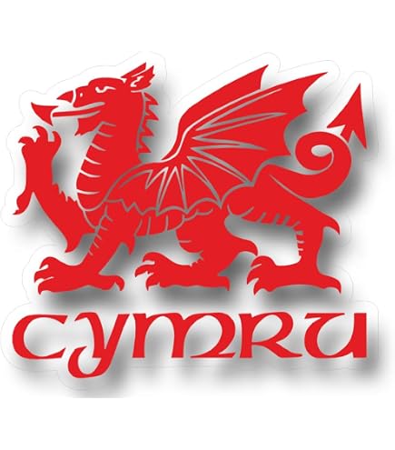 High Gloss Domed Gel UK Wales Flag Stickers For Vehicle Number Plates - 39mm Decals