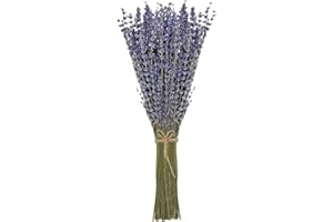 SHIIYYU Dried Lavender Flowers Bundles, Natural Dry Lavender Flowers,Dried Preserved Lavender Bouquet 16-17" for Shower Weeding Home Vase Decor,Bathroom Photo Props Crafts Decoration( 120pcs/ 60g per Set)