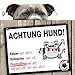 Produktbild Hunde-Warnschild Schutz vor Bayern-Fans | Dortmund, Schalke- & alle Fußball-Fans Aufgepasst, Dieser Revier-Markierer schützt Haus & Hof vor Bayern-Fans | Achtung Vorsicht Hund Bissig by Ligakakao.de