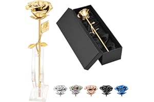 QGJNSGC Rose Flower Keepsake Urns for Human Ashes Memorial Urn Locket Long Stem Colourful Roseflower Cremation Urns Funeral Urn for Pet Ashes Cremation Keepsake for Cat Dog Ashes Roseflower Ornaments