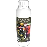 CULTIVERS Fertilizer Seaweed Liquid 1 L Organic Fertilizer for Plants Ascophyllum Nodosum Extract Growth Enhancer Root Stimul