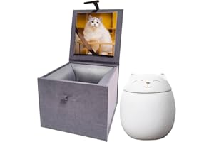DOINFUN Mini Urns for Ashes, Handicrafted Matte Ceramic Cat Ashes Urns Small Pets Ashes Keepsake Memorial Gift, Ashes Holder with Exquisite Box-White Small