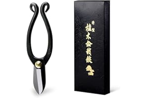 Wazakura Ciseaux Ikenobo Classic pour Ikebana et Arrangenemts Floraux, Outil Jardinage 165 mm en Acier Carbon Noir Fabriqué au Japon