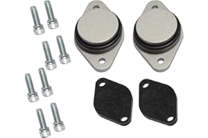 CANTONDZ Valve Repair Tool kit Compatible with Range Rover L322 Vogue 3.6 TDV8 EGR Range Rover Sport