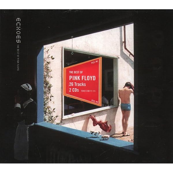 The Early Years 1965 1972 : Pink Floyd: Amazon.it: CD e Vinili}