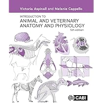 Buy Introduction to Animal and Veterinary Anatomy and Physiology