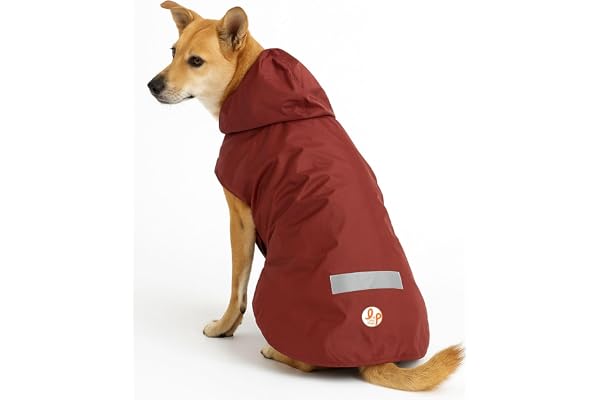 Lana Paws Maroon Dog Raincoat for Large Labradors, Golden Retrievers, German Shepherd, Rottweiler & Similar