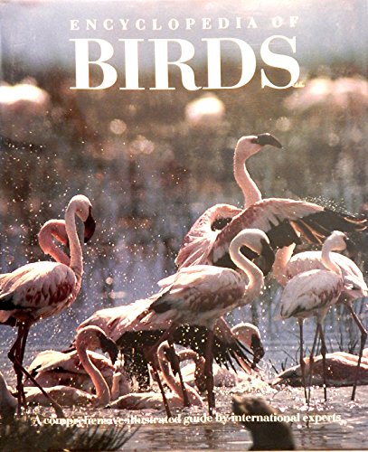 Encyclopedia of Birds livre