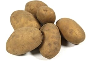 AMOREBIO Obst & Gemüse Bio Kartoffeln festkochend (1 x 1000 gr)