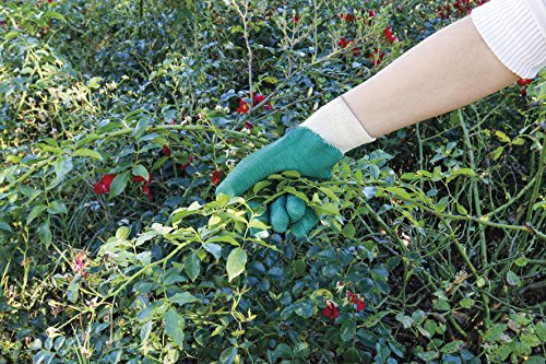 Greengeers 90311 Handschuhe epineux T 10 Latex/Baumwolle - 4