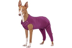 MHaustlie Hund Erholungshülle für Hinterbeine, Atmungsaktiver Hund Operationsanzug mit Reißverschluss, Hund Ellenbogenbandagen Schutz, E-Kragen und Kegel Ersatz gegen Lecken