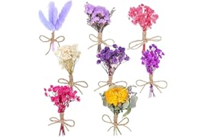 CAREDGO 8 Pcs Ramilletes Flores Secas Ramos Flores Secas Pequeñas Flores Secas para Resina Flores Naturales Secas para Manualidades Flores Preservadas para Resina Scrapbooking Decoracion 10cm ~13cm