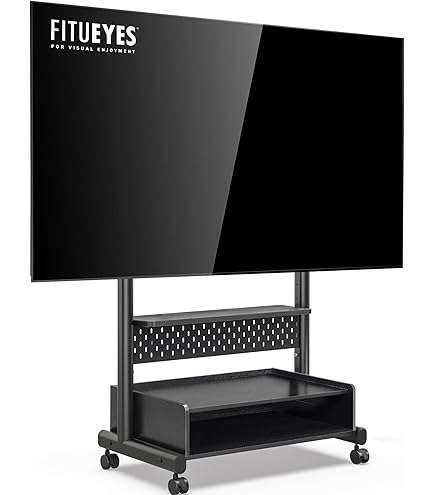 Verrijdbare TV Standaard op Wielen voor 60-100inch