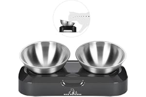 H&A PETCARE Raised Cat Bowl,0 & 15° Cat Bowls With Stand Tilted Design, Elevated Cat Bowls With Stainless Steel Water Bowl And Food Bowl, Pet Feeding Bowls For Cats And Small Dogs, Food-Grade Material