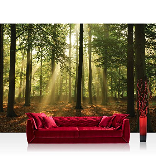 Vlies Fototapete 416x254cm PREMIUM PLUS Wand Foto Tapete Wand Bild Vliestapete - Wald Tapete Laubbaum Laubwald Sonne Sonnenstrahlen bunt - no. 3287