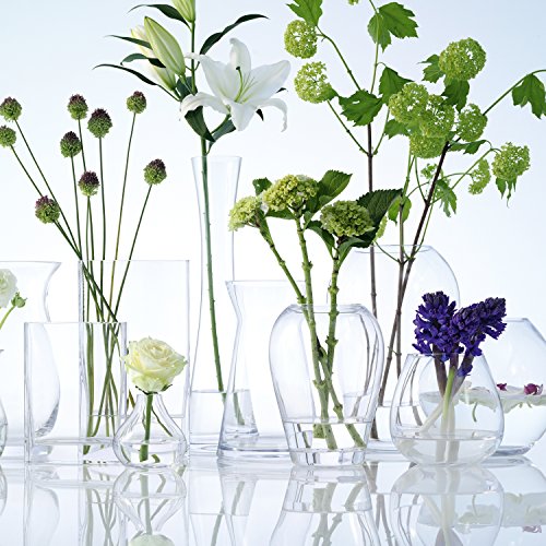 LSA International 17,5 cm Blumenstrauß Vase, transparent - 7