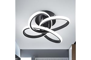 EIDISUNY Led Ceiling Light, Modern Lights, Simple Curved Lamp, Black Lighting Fixture for Hallway, Bedroom, Living Room, Entryway, Balcony, Stair - 26W Cold White Light 6000K