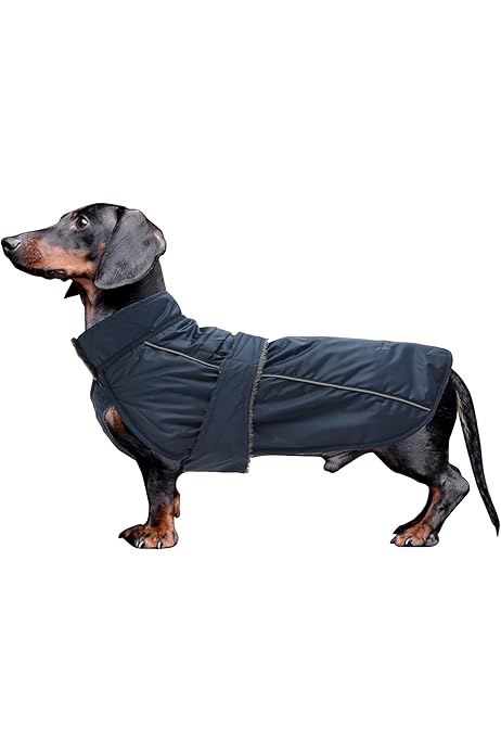 Eukanuba Adulto Raza Mediana Morezi Abrigo De Invierno Para Perro