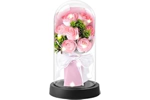 Eternal Rose in Glass with Light Gifts for Women, Preserved Flowers as Gifts for Mum, Grandma, Girlfriend, Sister for Birthday, Christmas, Anniversary, Valentine's Day, Mother's Day, Thanksgiving