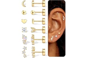 Chriscoco Hypoallergena platta ryggörhängen 14K guldfyllda örhängen för kvinnor silver/guld kirurgiskt stål örhängen broskörhängen set för flera piercingar helix piercing piercing