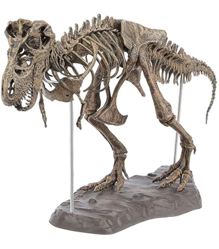 Réplique Dents Et Griffes De Velociraptor Collecta - Fossile Modèle Avec Boîte Présentation