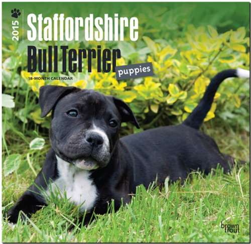Staffordshire Bull Terrier Puppies 2015 - Bull Terrier Welpen: Original BrownTrout-Kalender [Mehrsprachig] [Kalender]