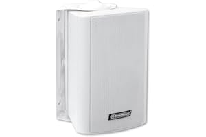 OMNITRONIC WPS-4W ELA-Wandlautsprecher | 2-Wege-Lautsprecher mit Halterung