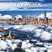 New York 2017: Broschürenkalender mit Ferienterminen by