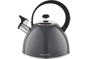 FLORINA Wasserkessel (2 l) I Edelstahl Teekessel BRILLO I Flötenkessel mit Bakelitgriff I Kratzfester I Wasserkocher für Induktionsherd, Gasherd und Elektroherd I Farbe: Grau