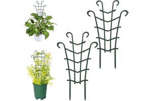 BIPL 2 Stück Rankhilfe Zimmerpflanzen, Langlebig Korrosionsbeständig, Pflanzengitter, Wiederverwendbare Garten Pflanzenstütze, Pflanzengitter, Rankhilfe, Pflanzen Rankhilfe, für Indoor im Freien Plants