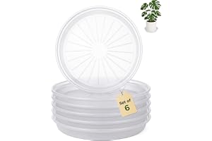 Bamworld Växtfat 6-pack Plastfat för Blomkrukor Vattenuppsamlare för Inomhus och Utomhus, 20 cm