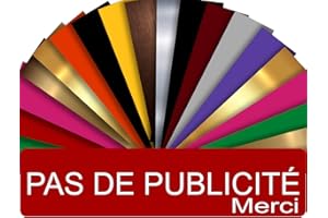 GRAVURE CONCEPT Plaque PAS DE PUBLICITÉ MERCI Adhésive PVC Pour Boîte Aux Lettres - Plaque Stop Pub - 8 cm x 2 cm - 21 Couleurs Disponibles (Rouge)