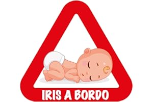 VINILOSBICI Adesivi per bambini a bordo personalizzati con nome, grande varietà e pronti per la spedizione