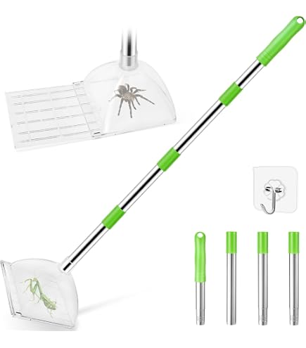 Attrape-insectes Transparent - Pour Attraper Et Observer Les Araignées Et Insectes Sans Les Blesser, Pour Maison Et Jardin