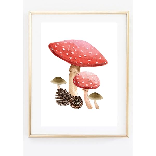 A4 Kunstdruck Pilz Steinpilz – Aquarell Poster Auf Mattem Fotopapier 230 G/m², Ungerahmt (21 X 29,7 Cm)