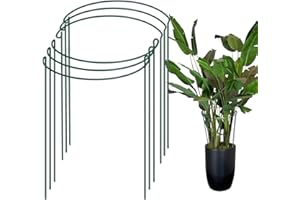 AKOFIC 6 Piezas Soportes para Flores y Perennes, Soporte de Plantas Aros Semicirculares de Metal, Anillo de Soporte Porta para Plantas de Jardín Peonías Zarcillos Verduras Rosas Hortensia Verde