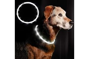 AMOMYDOG Collare Luminoso per Cani, Collare Cane LED USB Ricaricabile con 3 Modalità Illuminazione, Collare Di Sicurezza Tagliabile per Cani Gatti di Taglia Piccola Media Grande (Bianco)